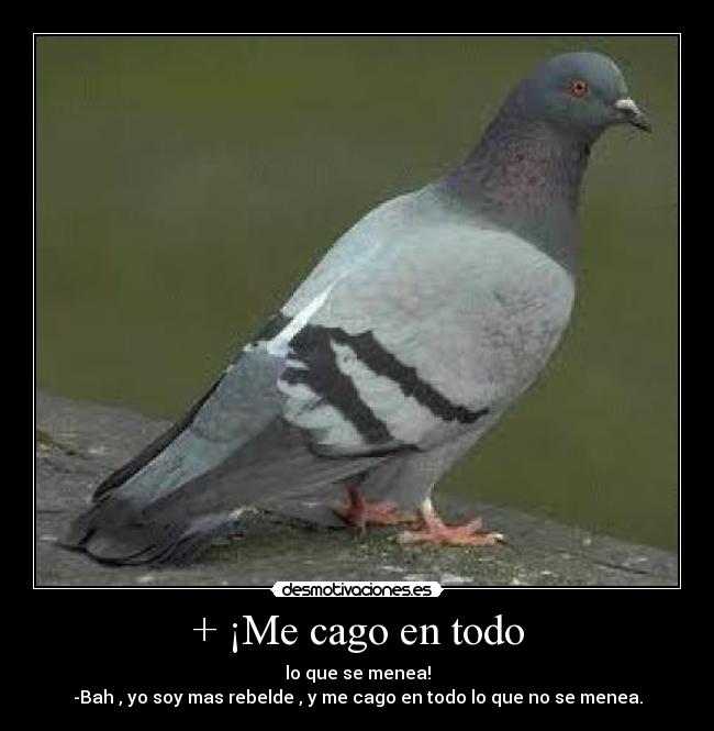 + ¡Me cago en todo -