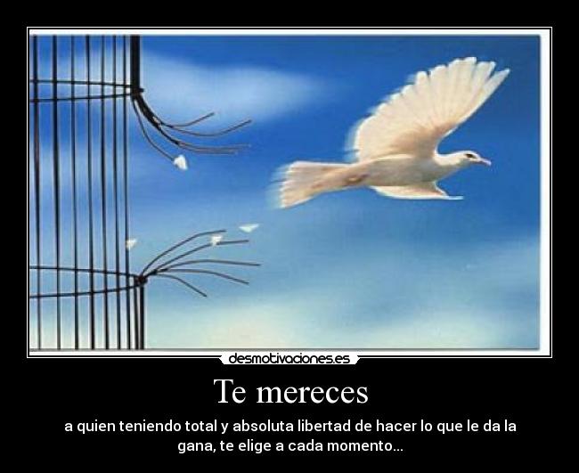 Te mereces - 
