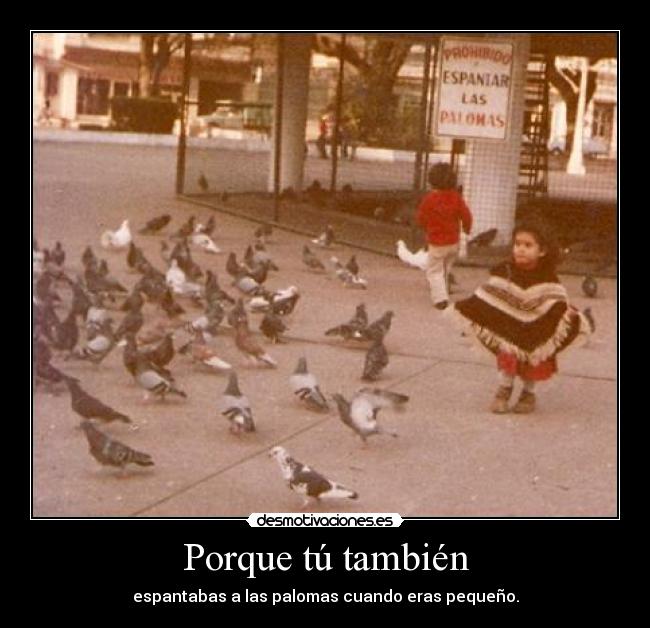Porque tú también - 