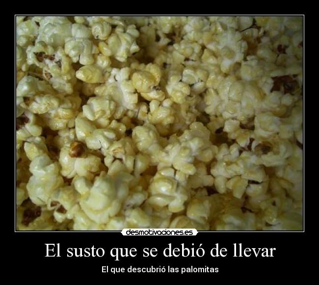 El susto que se debió de llevar -