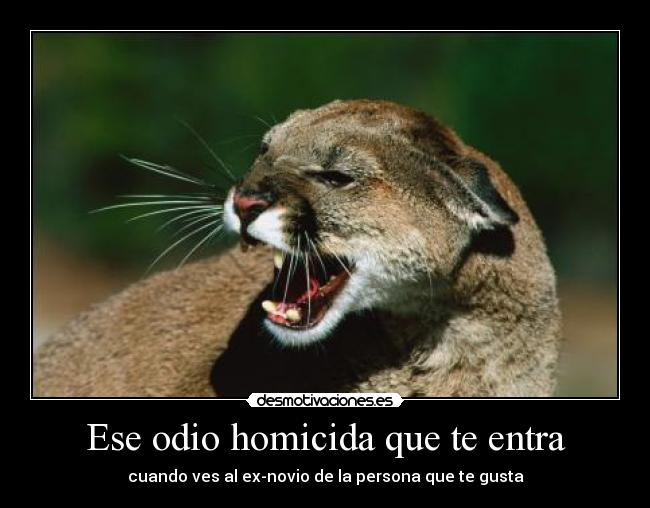 carteles odio memiiz desmotivaciones