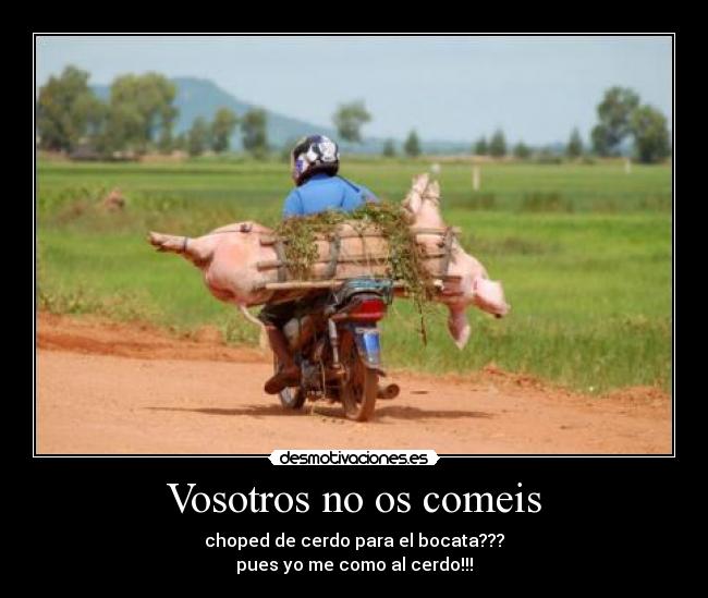 Vosotros no os comeis - choped de cerdo para el bocata???
pues yo me como al cerdo!!!
