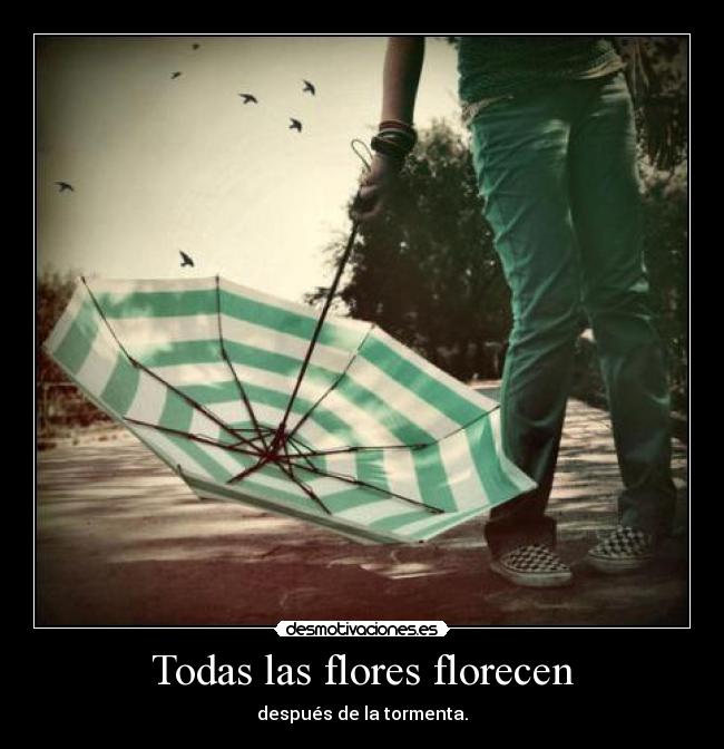 Todas las flores florecen -