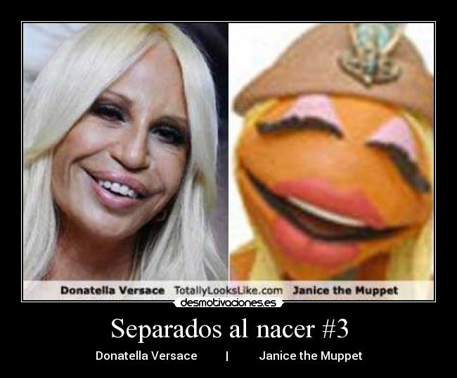 Separados al nacer #3 - 