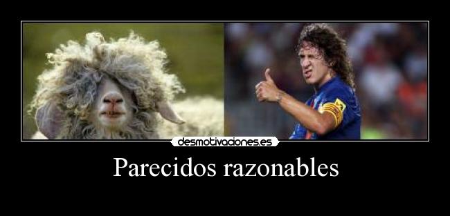 Parecidos razonables - 
