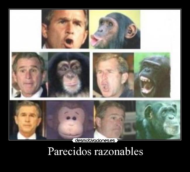 Parecidos razonables -