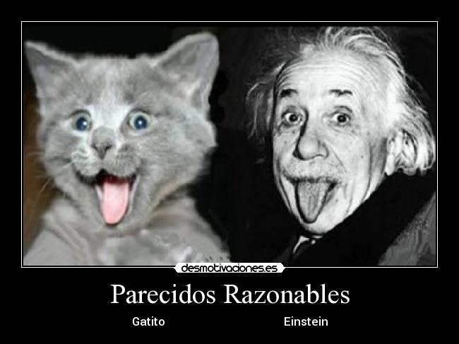 Parecidos Razonables - 