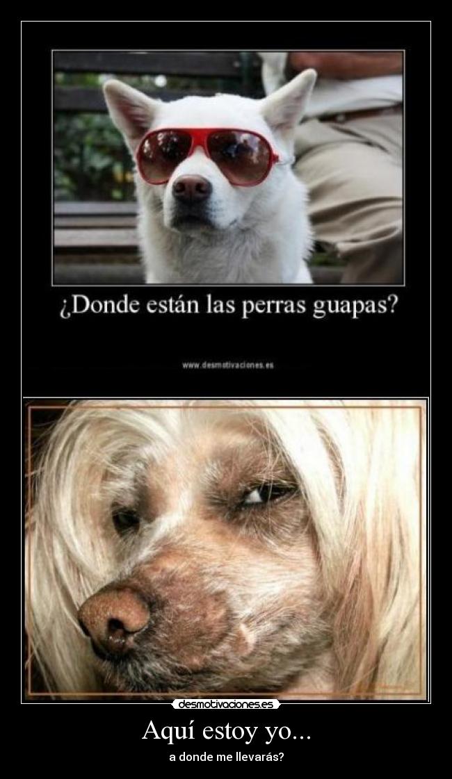 Aquí estoy yo... - a donde me llevarás?