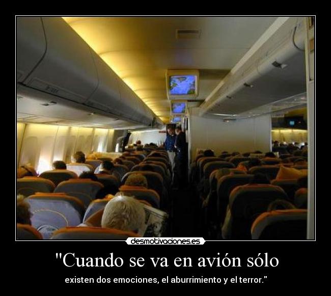 Cuando se va en avión sólo - 