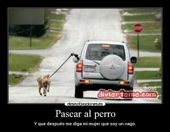 Pasear al perro - Y que después me diga mi mujer que soy un vago.