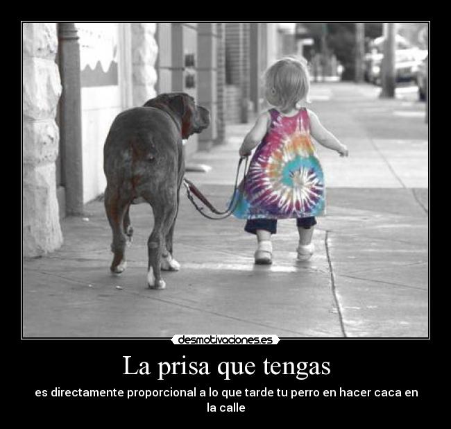 La prisa que tengas - es directamente proporcional a lo que tarde tu perro en hacer caca en la calle