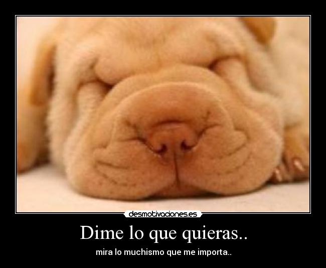 carteles dimelo desmotivaciones