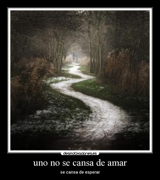 uno no se cansa de amar - 