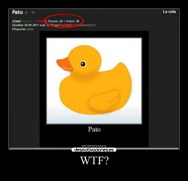 WTF? - 