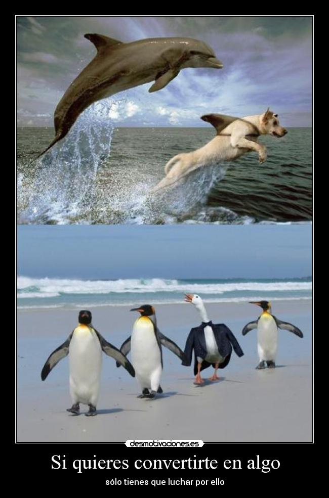 Si quieres convertirte en algo - 