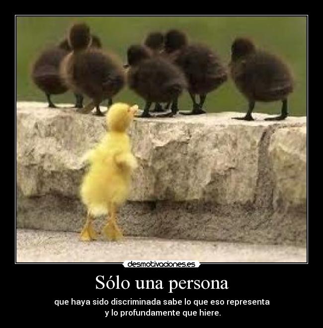 Sólo una persona - que haya sido discriminada sabe lo que eso representa
y lo profundamente que hiere.