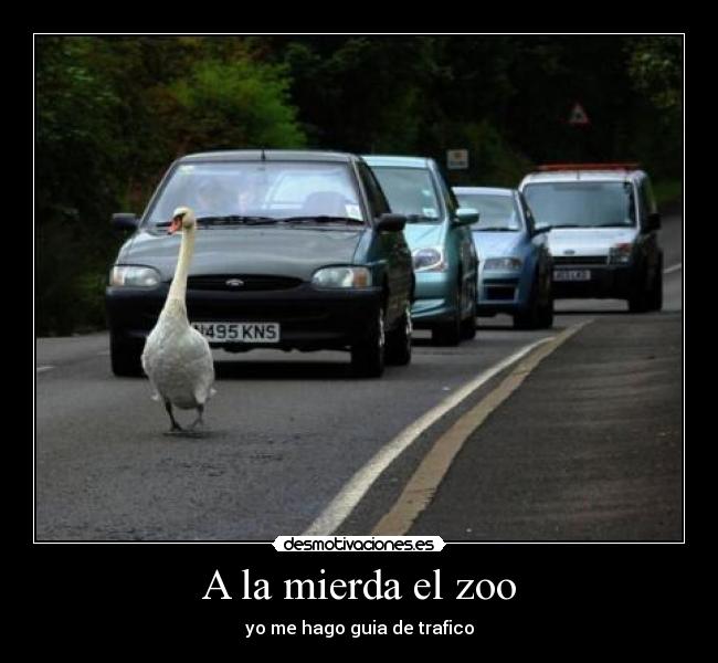 A la mierda el zoo - yo me hago guia de trafico