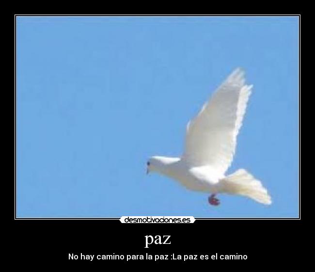 paz - No hay camino para la paz :La paz es el camino