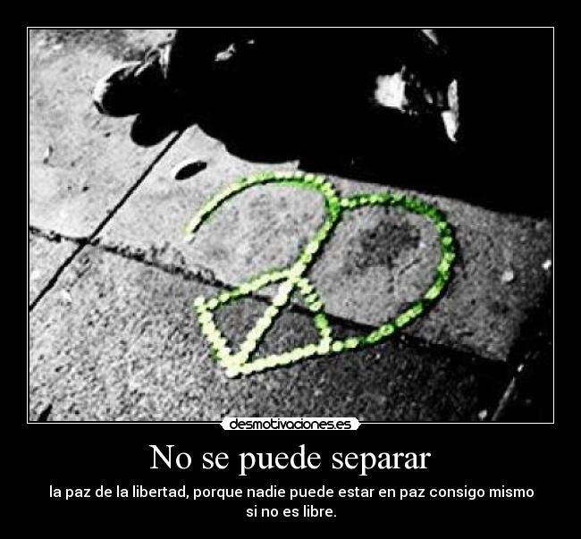 carteles puede separar desmotivaciones