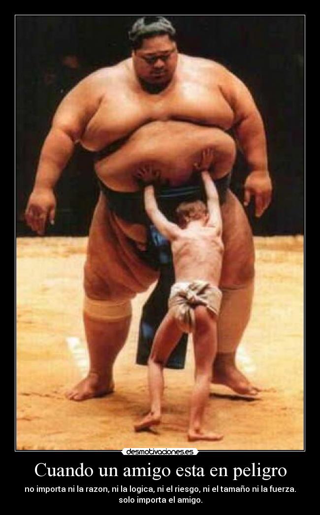 Cuando un amigo esta en peligro - no importa ni la razon, ni la logica, ni el riesgo, ni el tamaño ni la fuerza.
solo importa el amigo.