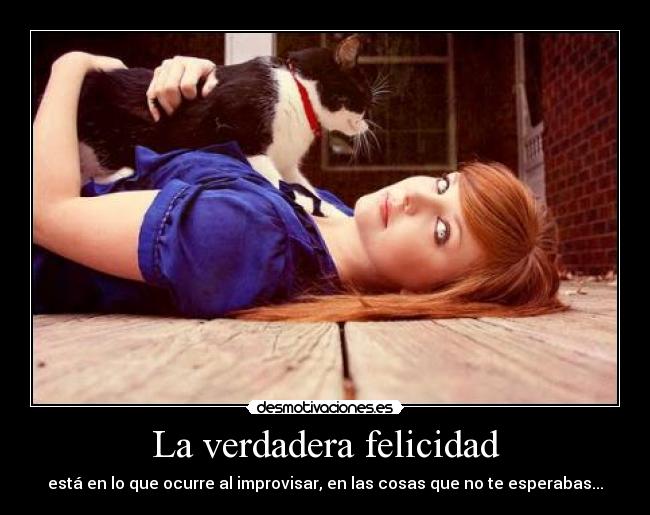 carteles felicidad improvisa vida desmotivaciones