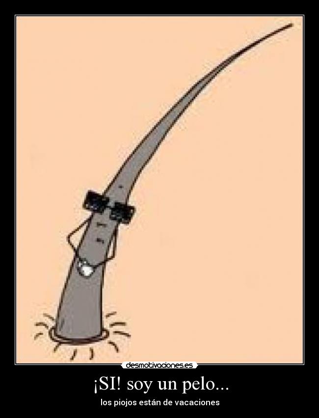 ¡SI! soy un pelo... -