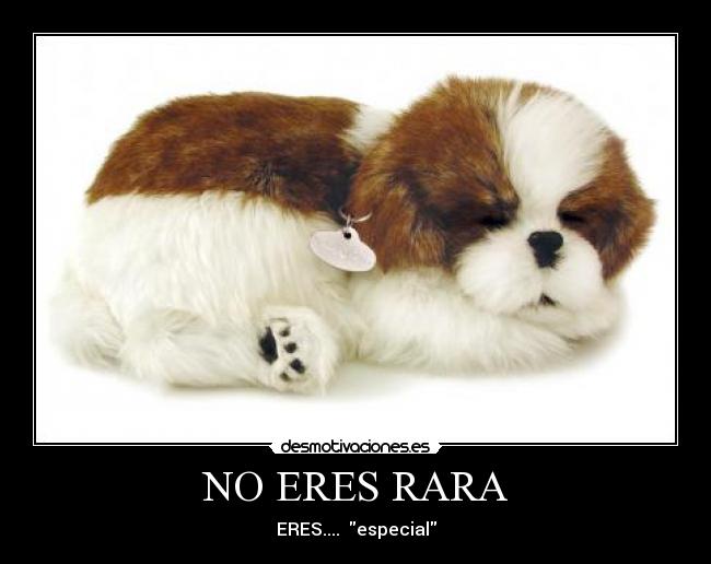 carteles rara laure desmotivaciones