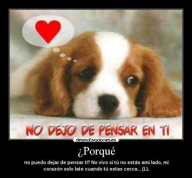 carteles aranxica13 desmotivaciones