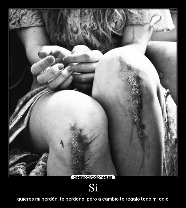 carteles perdon desmotivaciones