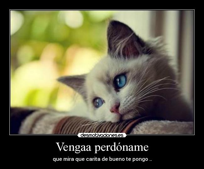carteles venga perdoname desmotivaciones