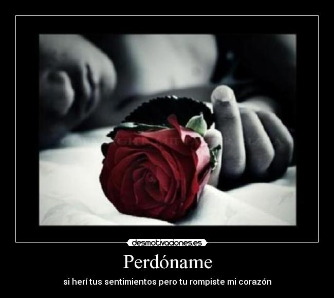 Perdóname - si herí tus sentimientos pero tu rompiste mi corazón