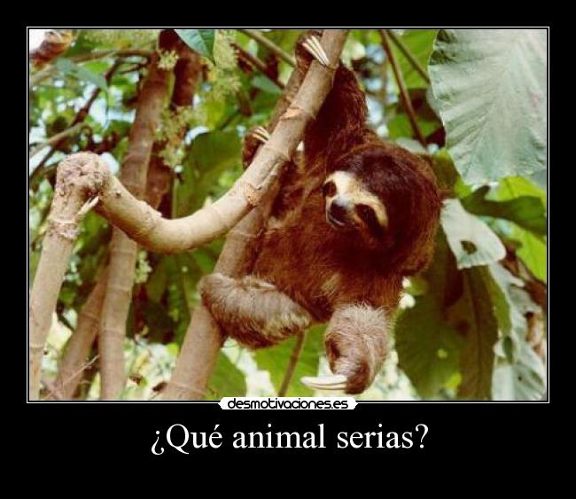 ¿Qué animal serias? - 