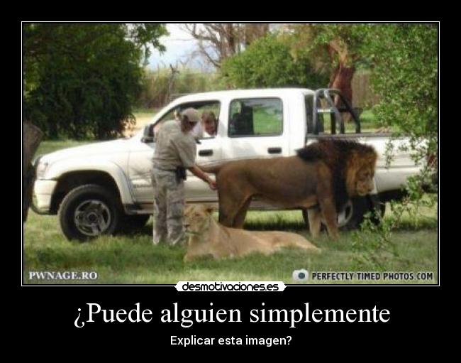 ¿Puede alguien simplemente - Explicar esta imagen?