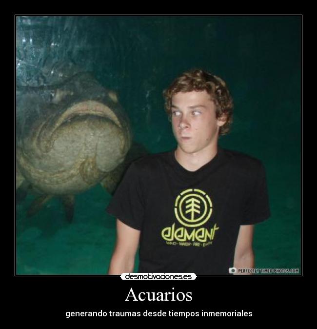 Acuarios - 