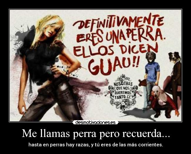 carteles llamas perra desmotivaciones