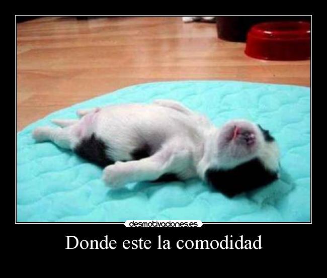 Donde este la comodidad - 