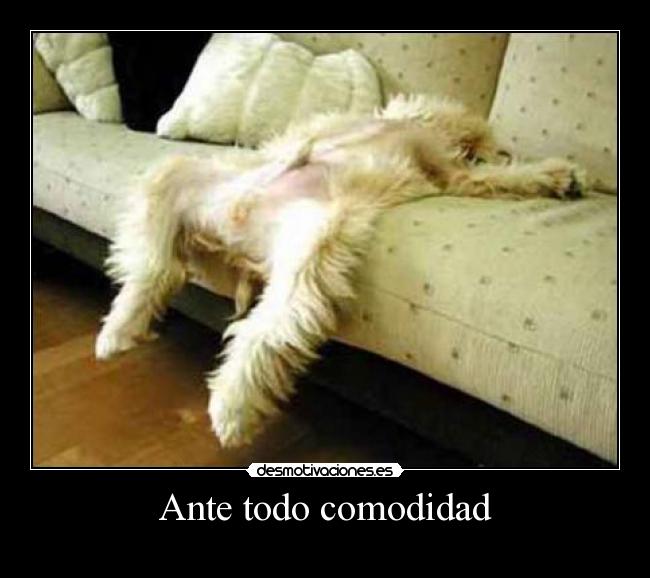 carteles ewf desmotivaciones