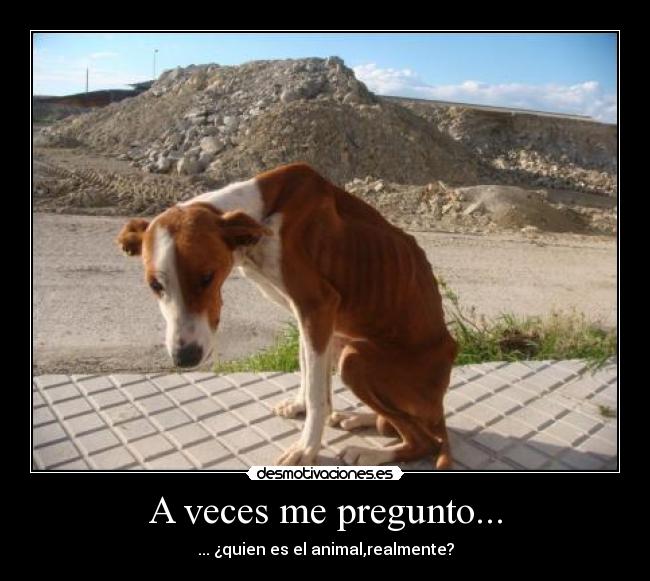 carteles abandono desmotivaciones