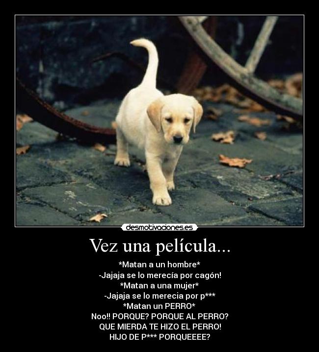 Vez una película... - *Matan a un hombre*
-Jajaja se lo merecía por cagón!
*Matan a una mujer*
-Jajaja se lo merecia por p***
*Matan un PERRO*
Noo!! PORQUE? PORQUE AL PERRO?
QUE MIERDA TE HIZO EL PERRO!
HIJO DE P*** PORQUEEEE?