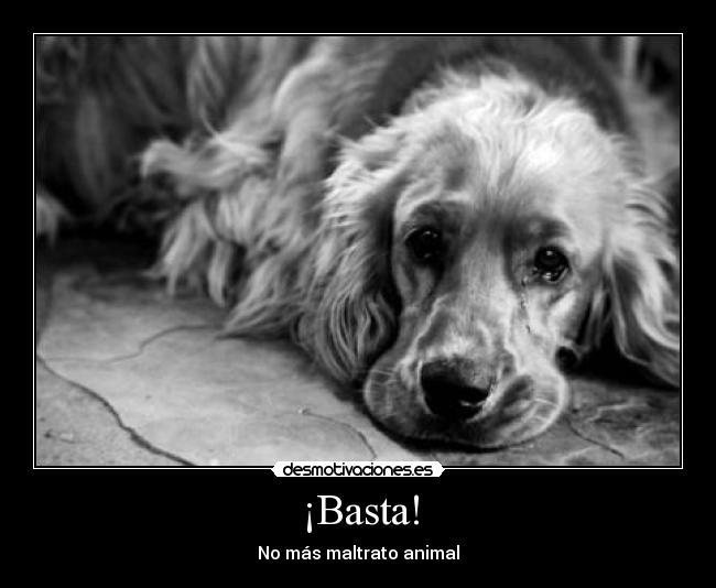 ¡Basta! -
