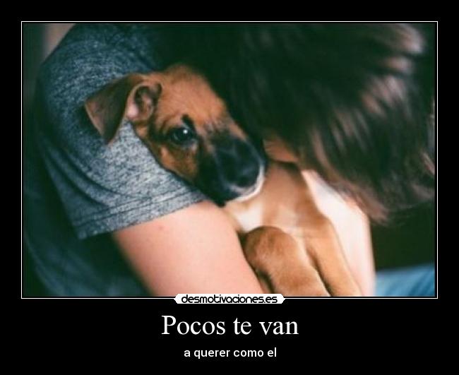 Pocos te van - a querer como el