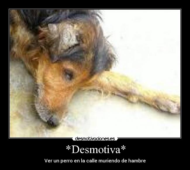 *Desmotiva* - 