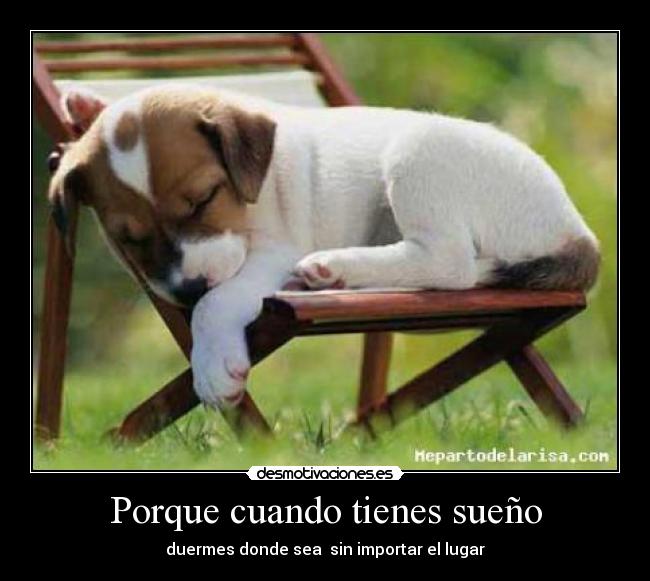 Porque cuando tienes sueño - duermes donde sea  sin importar el lugar