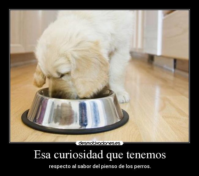 Esa curiosidad que tenemos -