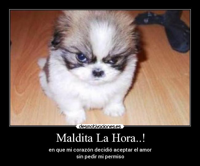 Maldita La Hora..! - en que mi corazón decidió aceptar el amor
sin pedir mi permiso