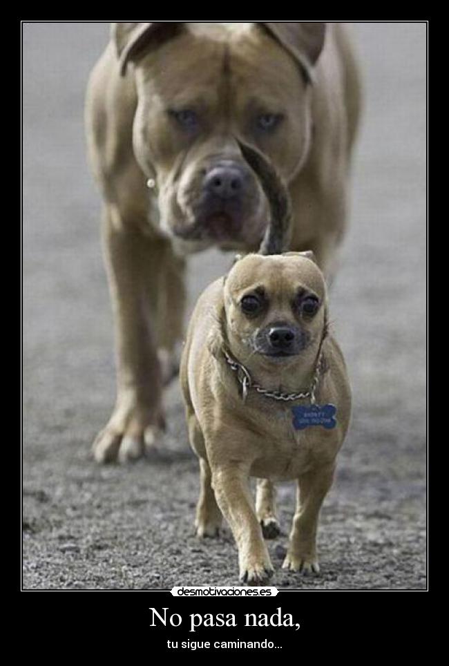 No pasa nada, - tu sigue caminando...