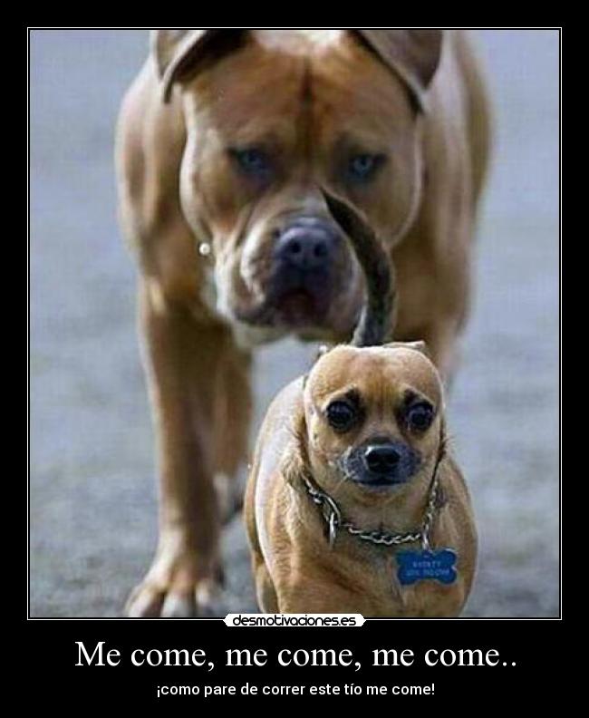 Me come, me come, me come.. -