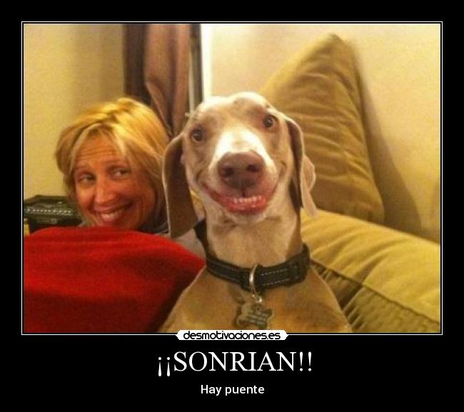 ¡¡SONRIAN!! - 