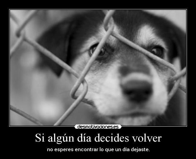 Si algún día decides volver - no esperes encontrar lo que un día dejaste.