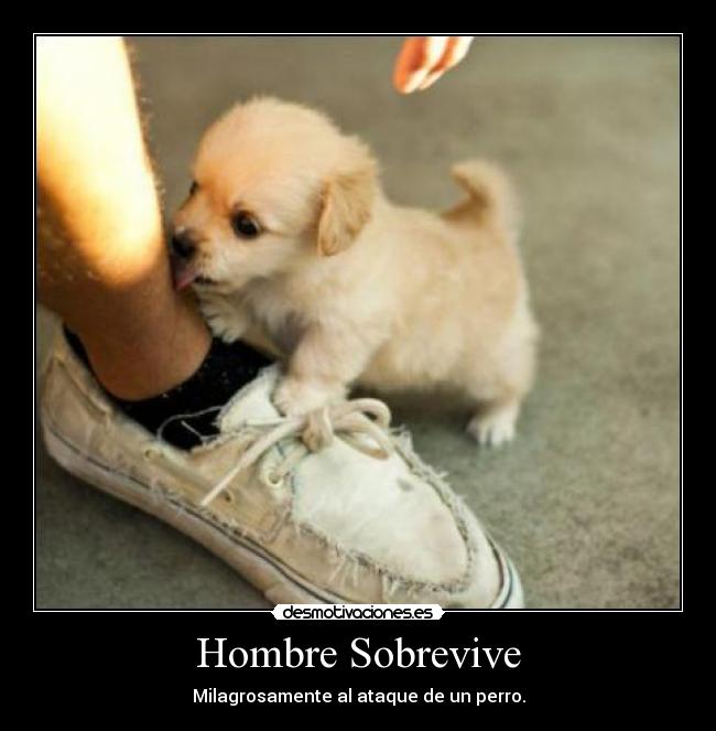 Hombre Sobrevive - Milagrosamente al ataque de un perro.